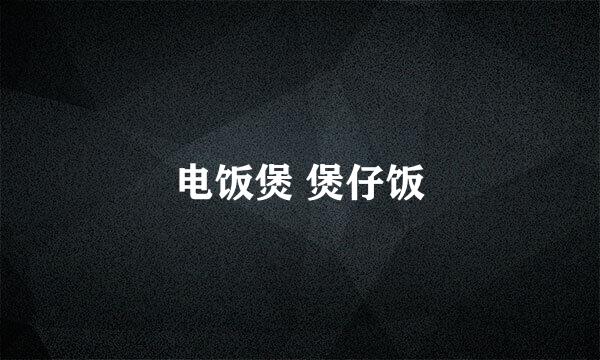 电饭煲 煲仔饭