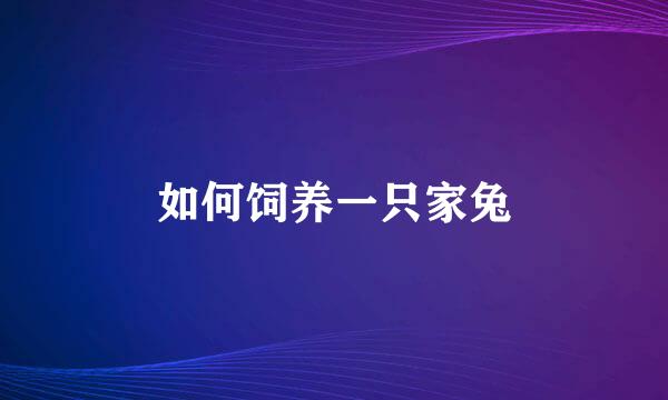 如何饲养一只家兔