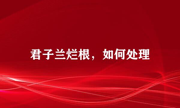 君子兰烂根，如何处理