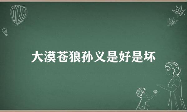 大漠苍狼孙义是好是坏