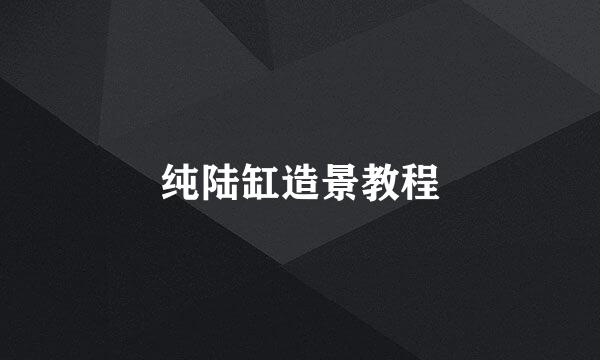 纯陆缸造景教程