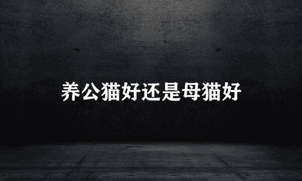 养公猫好还是母猫好