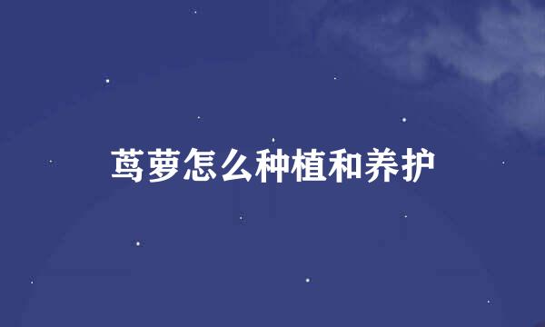 茑萝怎么种植和养护