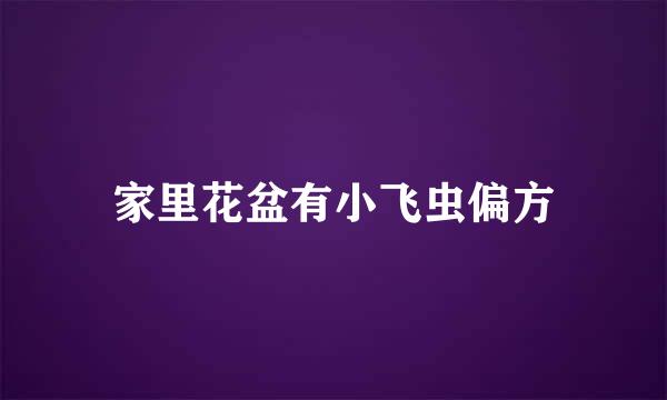 家里花盆有小飞虫偏方