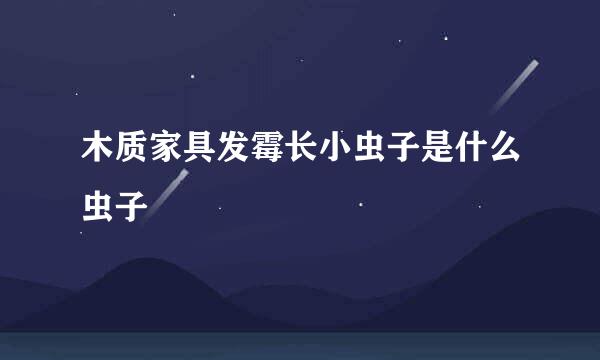 木质家具发霉长小虫子是什么虫子