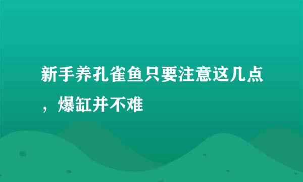 新手养孔雀鱼只要注意这几点，爆缸并不难