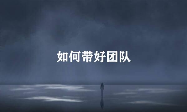 如何带好团队