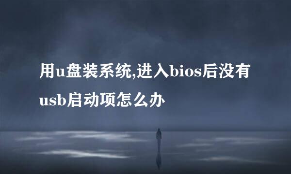 用u盘装系统,进入bios后没有usb启动项怎么办