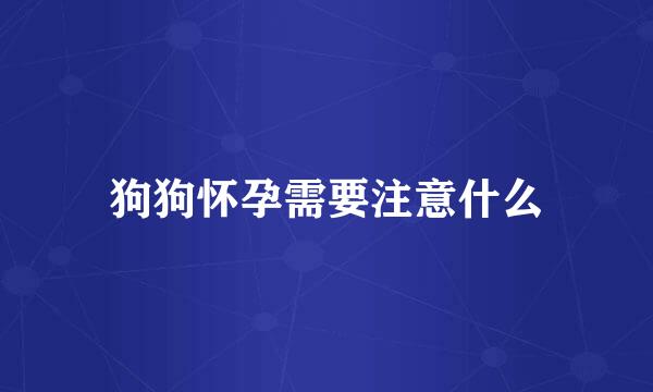 狗狗怀孕需要注意什么