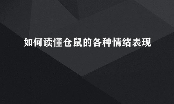 如何读懂仓鼠的各种情绪表现