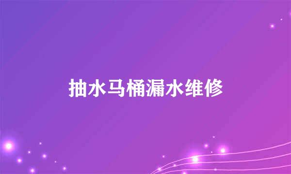 抽水马桶漏水维修
