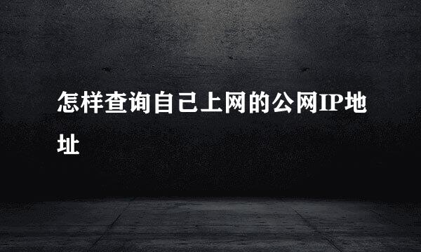怎样查询自己上网的公网IP地址