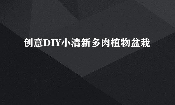 创意DIY小清新多肉植物盆栽