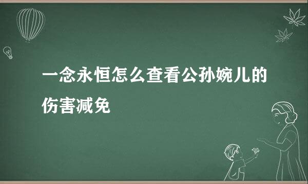 一念永恒怎么查看公孙婉儿的伤害减免
