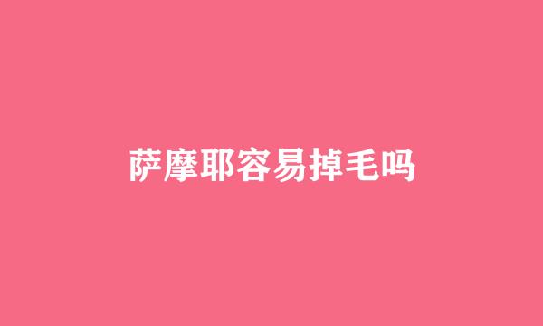 萨摩耶容易掉毛吗