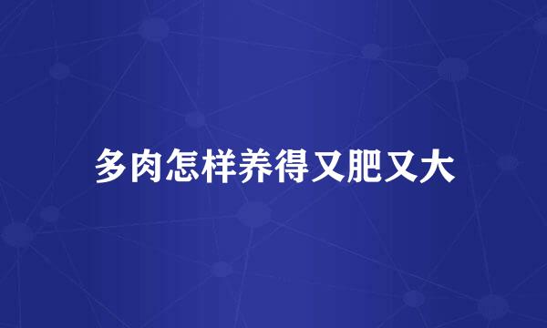 多肉怎样养得又肥又大