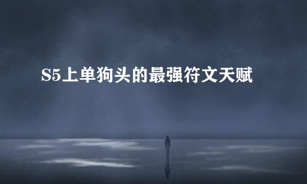 S5上单狗头的最强符文天赋