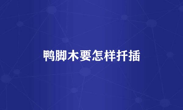 鸭脚木要怎样扦插