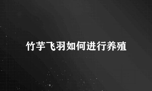 竹芋飞羽如何进行养殖