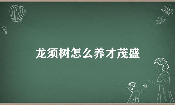 龙须树怎么养才茂盛