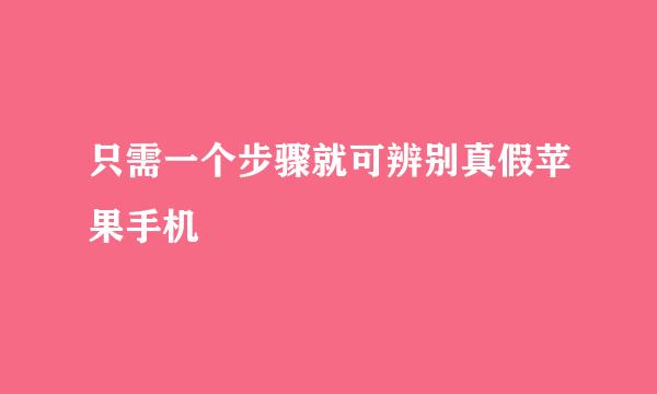 只需一个步骤就可辨别真假苹果手机