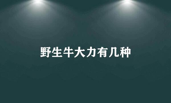 野生牛大力有几种