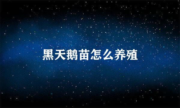 黑天鹅苗怎么养殖