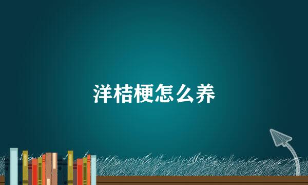 洋桔梗怎么养