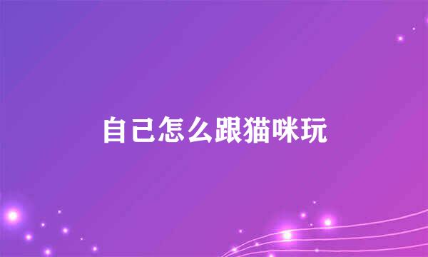 自己怎么跟猫咪玩