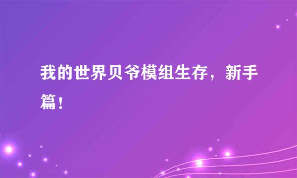 我的世界贝爷模组生存，新手篇！
