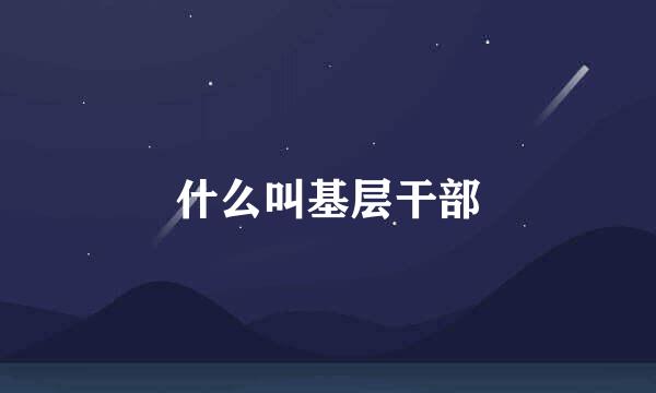 什么叫基层干部