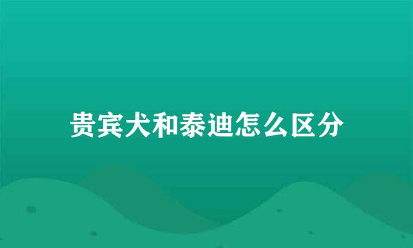 贵宾犬和泰迪怎么区分