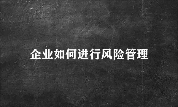 企业如何进行风险管理