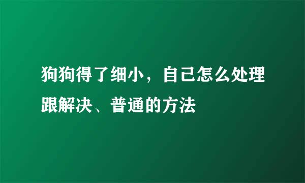 狗狗得了细小，自己怎么处理跟解决、普通的方法
