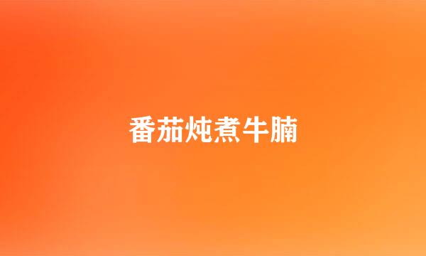 番茄炖煮牛腩