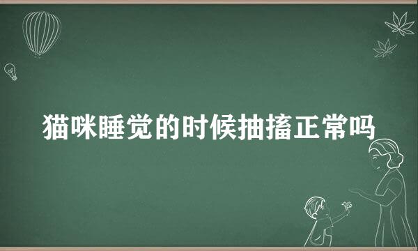 猫咪睡觉的时候抽搐正常吗