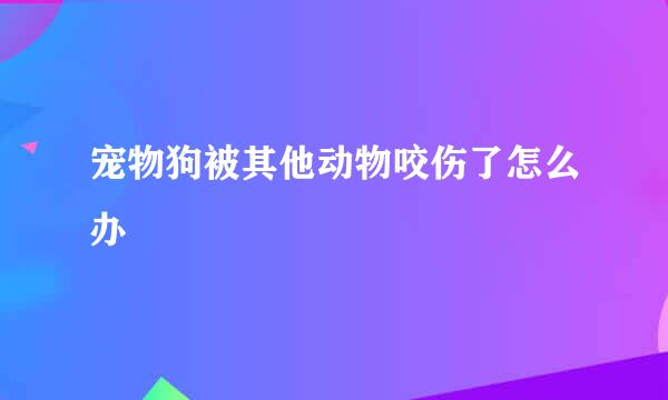 宠物狗被其他动物咬伤了怎么办