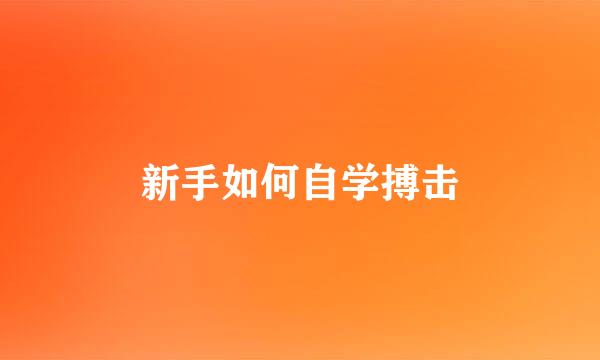 新手如何自学搏击