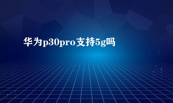 华为p30pro支持5g吗