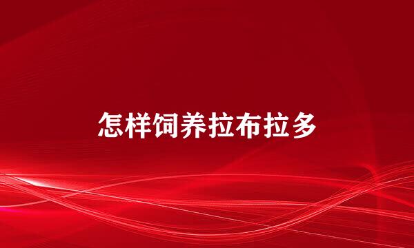 怎样饲养拉布拉多