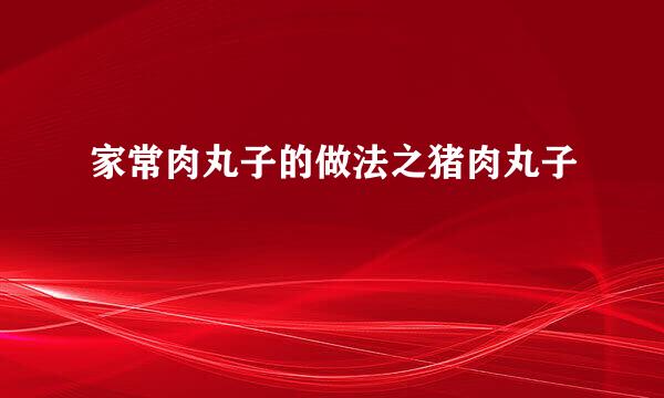 家常肉丸子的做法之猪肉丸子