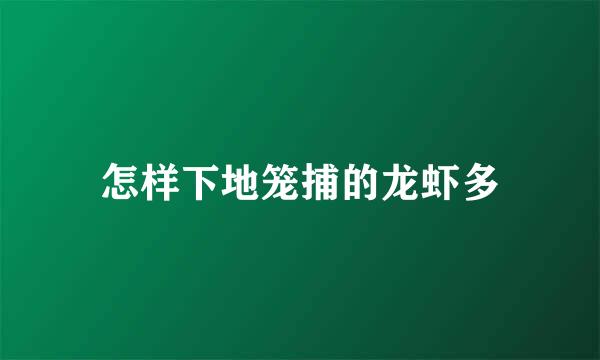 怎样下地笼捕的龙虾多