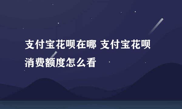 支付宝花呗在哪 支付宝花呗消费额度怎么看