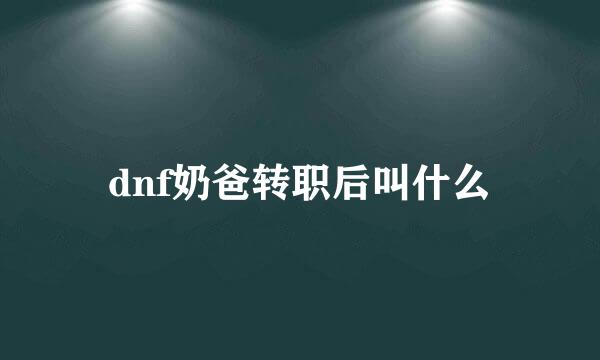 dnf奶爸转职后叫什么