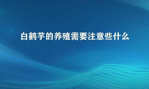 白鹤芋的养殖需要注意些什么