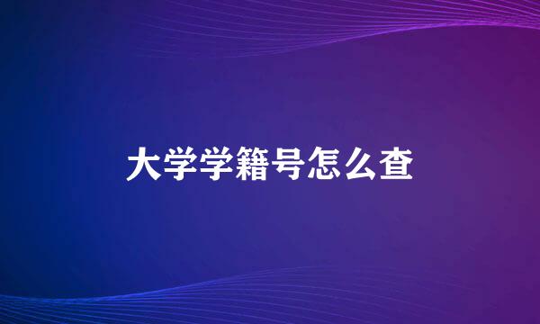 大学学籍号怎么查