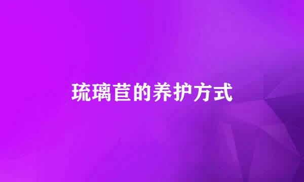 琉璃苣的养护方式