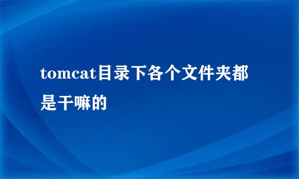 tomcat目录下各个文件夹都是干嘛的