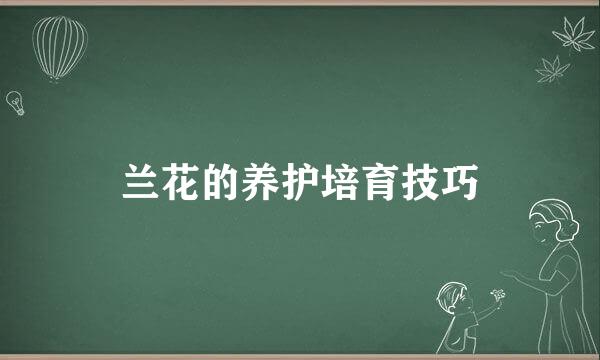 兰花的养护培育技巧