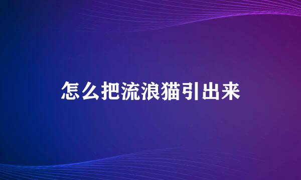 怎么把流浪猫引出来